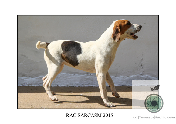 RAC SARCASM 2015