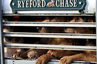 Ryeford chase-11