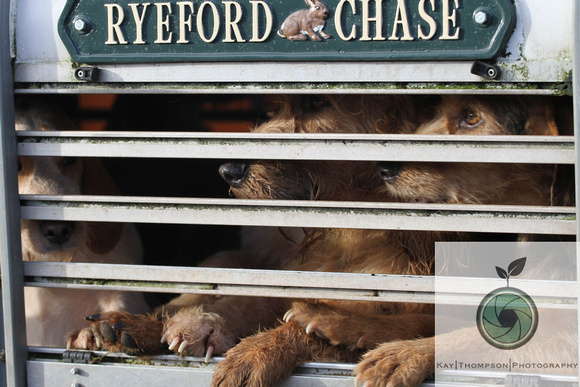 Ryeford chase-11