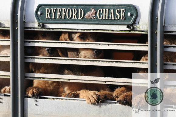 Ryeford chase-14