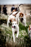 25.04.15 Exmoor Foxhounds at Hillcrest