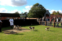 14.10.12 AMHB's Young Hunters Day at Radley College