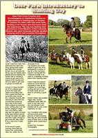 Southern Horse Magazine 1