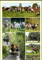 Southern Horse Magazine 2