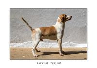 RAC CHALLENGE 2012