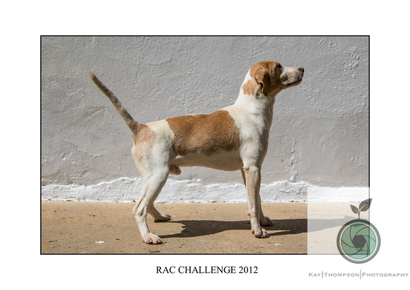 RAC CHALLENGE 2012