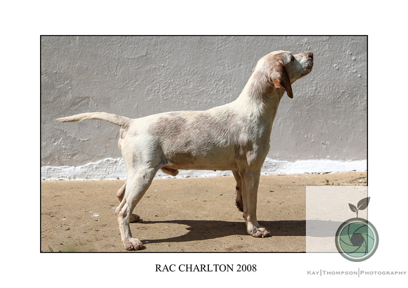 RAC CHARLTON 2008