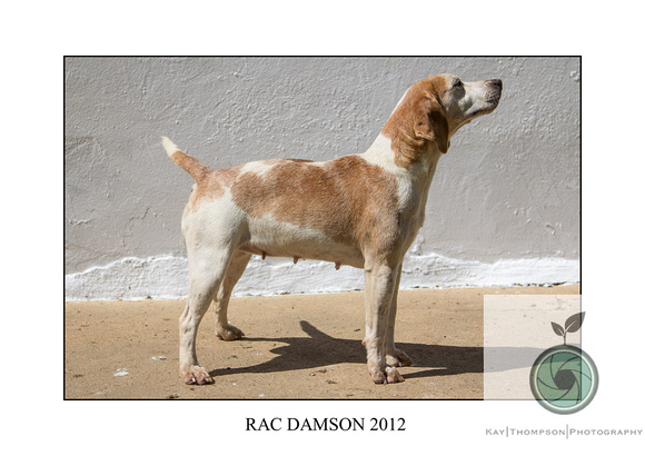 RAC DAMSON 2012