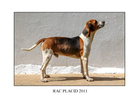 RAC PLACID 2011