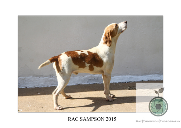 RAC SAMPSON 2015