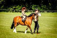 Broadwell-Show-11