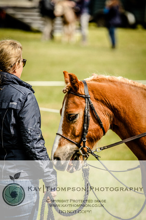 Broadwell-Show-3