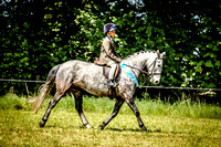 Broadwell Charity Pony & Dog Show 7-May-17