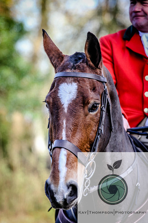 181114_COTSWOLD_NORDOWN-36