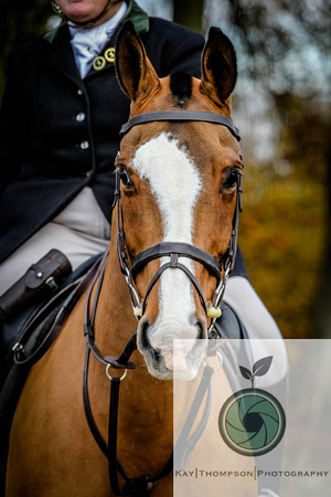 181114_COTSWOLD_NORDOWN-99